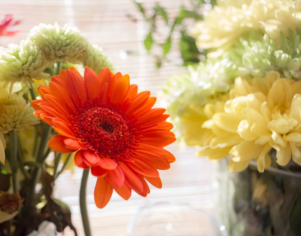 52748191_991768064347283_6621489748110213120_n