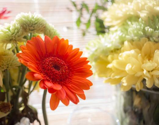 52748191_991768064347283_6621489748110213120_n