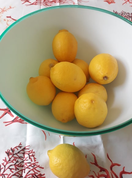 66791538_2338455439568794_7722785062919340032_n